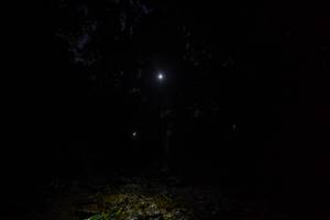 BIB: 
                            <button type="button" onclick="openModal(19246158)" class="btn btn-primary btn-sm float-right btn-popup" data-toggle="modal" data-target=".modal-high-quality">
                        <i class="fas fa-shopping-cart"></i> Add to Cart
                    </button>
                                            <button type="button" onclick="isThisMe(19246158, true)" class="btn btn-success btn-sm float-right btn-popup btn-isme hidden" data-toggle="tooltip" data-placement="bottom" title="นี่คือรูปของคุณใช่ไหม คลิกที่นี่เพื่อเอาเข้าอัลบั้ม">
                        <i class="fas fa-plus"></i> Add to album
                    </button>
                    <button type="button" onclick="isThisMe(19246158, false)" class="btn btn-warning btn-sm float-right btn-popup btn-isnotme hidden">
                        <i class="fas fa-ban"></i> Remove from album
                    </button>